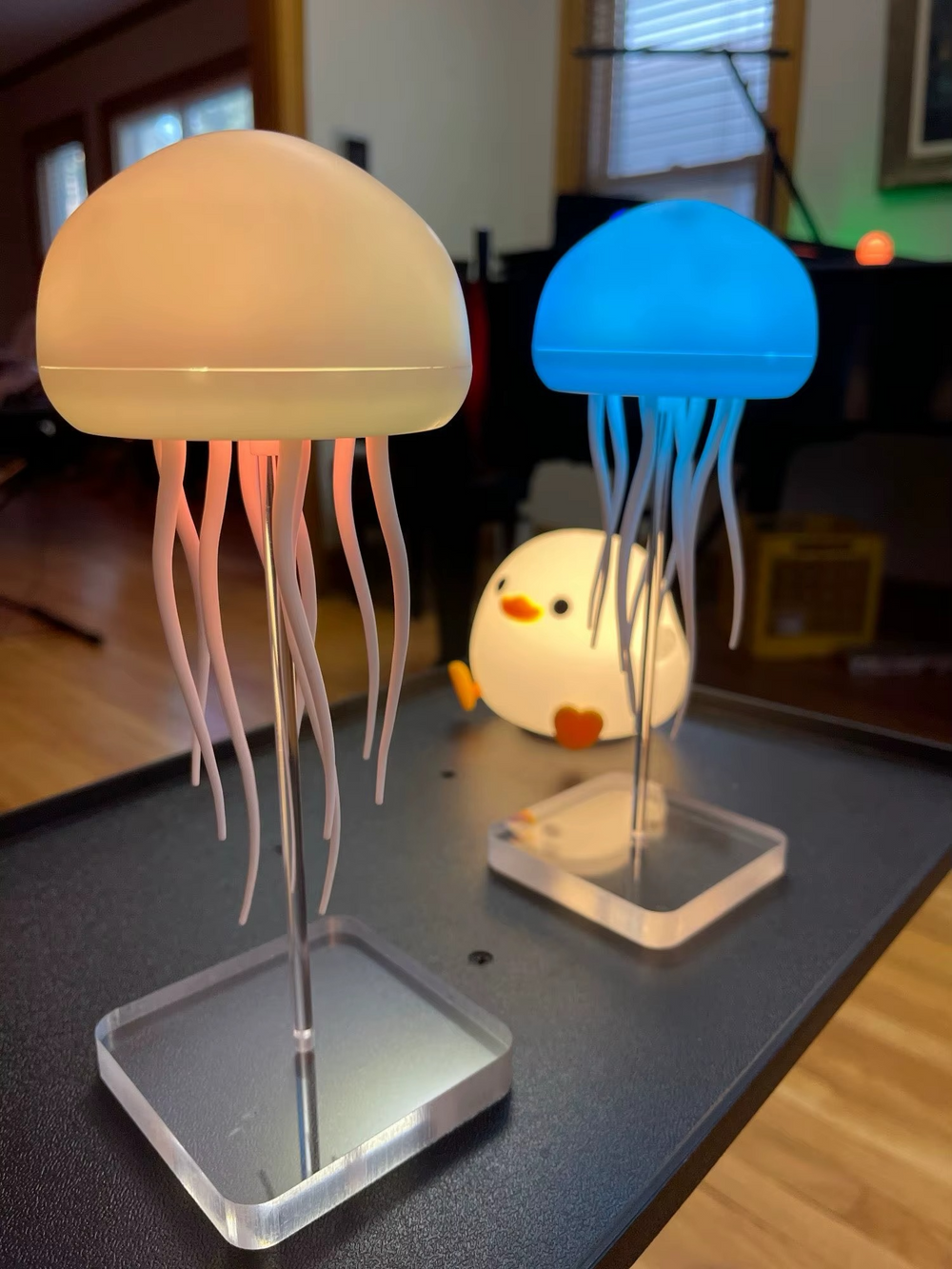 <h2>Loved by everyone, everywhere. Don't miss out.</h2>